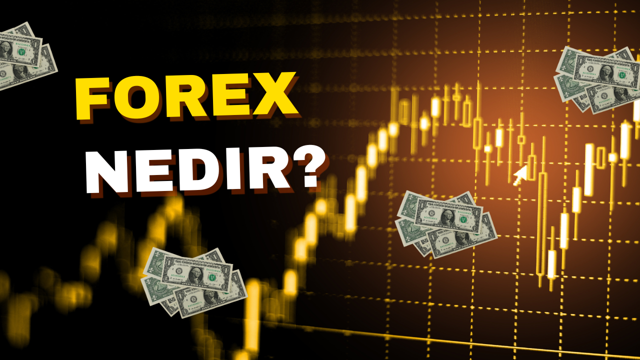 Forex Nedir? Döviz Piyasasına Giriş Rehberi